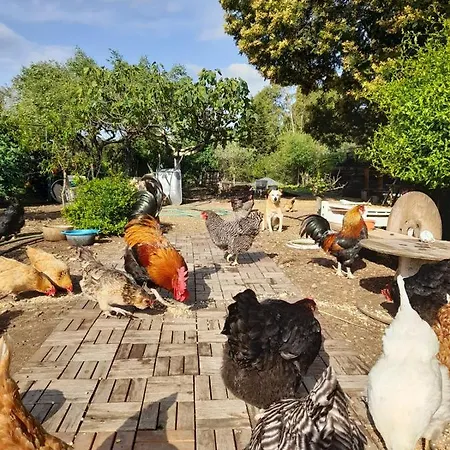 Pensjonat La Restanza Pula