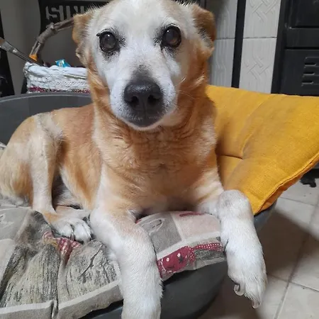 La Restanza Konukevi Pula