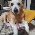 La Restanza Konukevi Pula