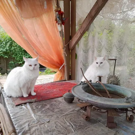 게스트하우스 La Restanza