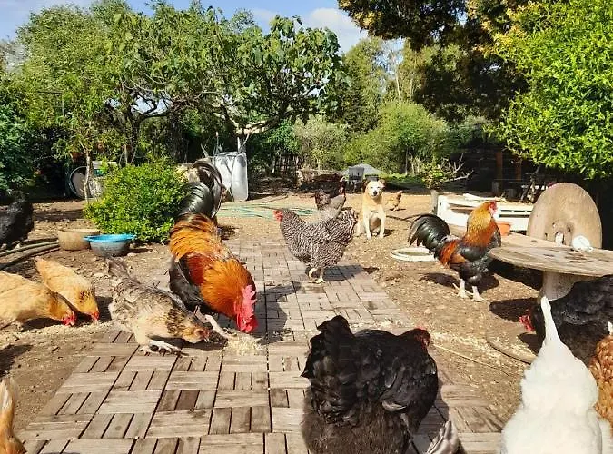 Gasthof La Restanza Pula