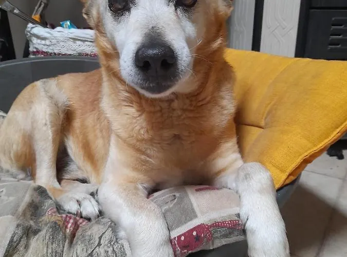 La Restanza Gasthof Pula